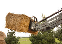 Bale Forks