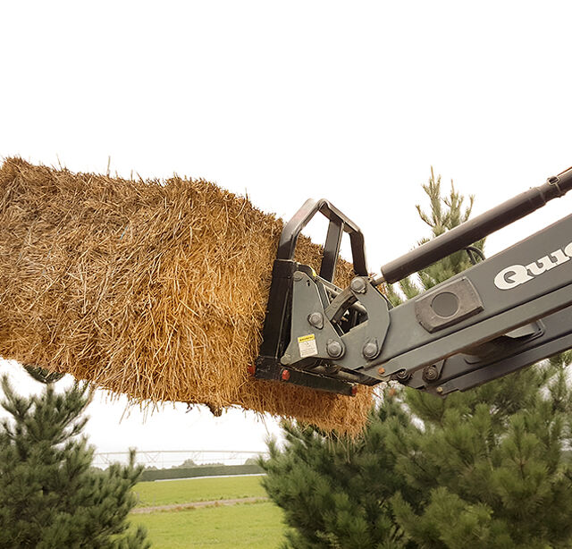 Bale Forks