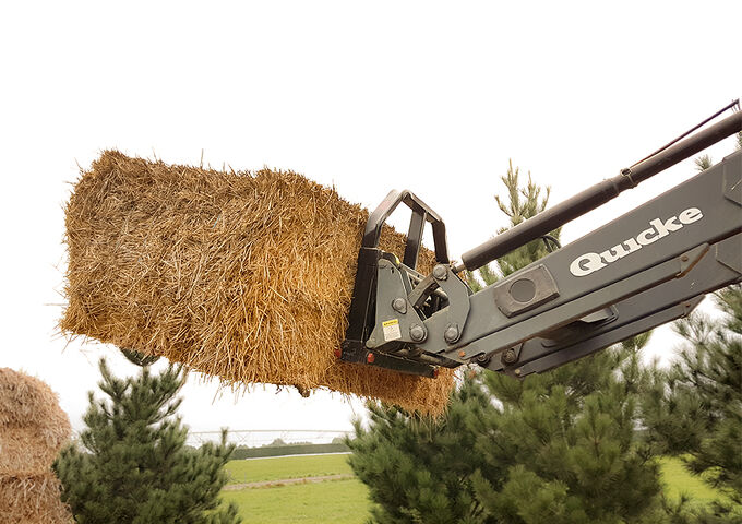 Bale Forks