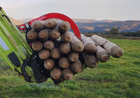 Post & Log Forks