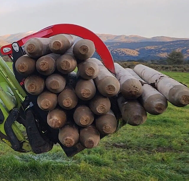 Post & Log Forks